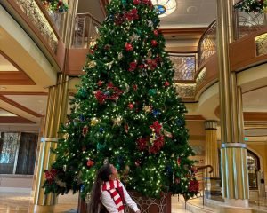 Casos de Éxito 19 WhatsApp Image 2024-12-25 at 9.33.12 PM